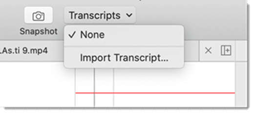 Select the Import Transcript option