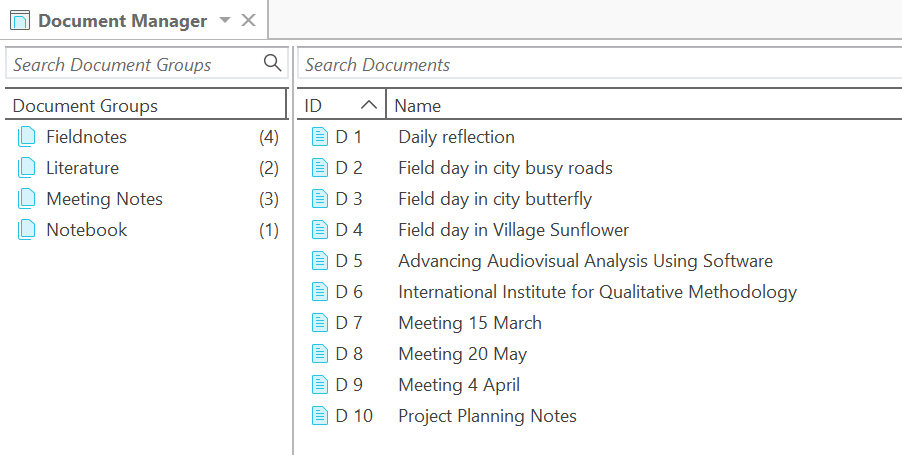 Document Manager after importf from Evernote data